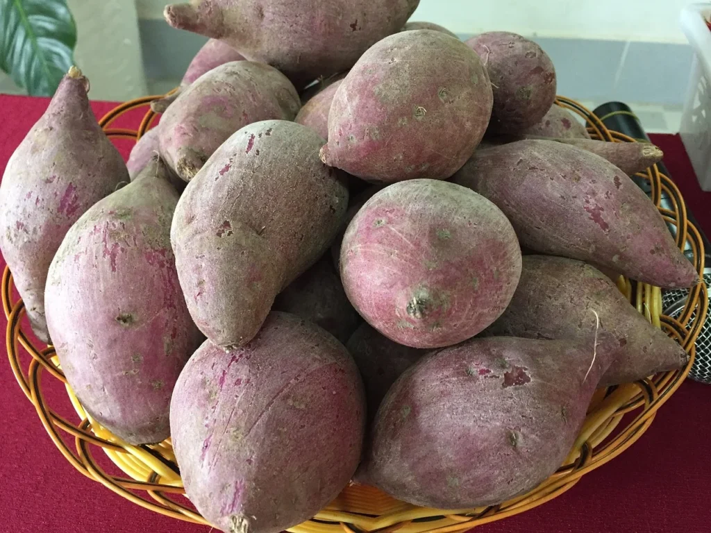 Discover the vibrant world of purple sweet potatoes with our collection of delicious recipes and helpful tips. From savory dishes to sweet treats, explore the versatility and health benefits of this colorful tuber. Get inspired and start cooking with purple sweet potatoes today!