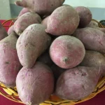 Discover the vibrant world of purple sweet potatoes with our collection of delicious recipes and helpful tips. From savory dishes to sweet treats, explore the versatility and health benefits of this colorful tuber. Get inspired and start cooking with purple sweet potatoes today!